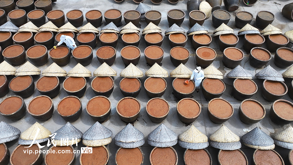 江苏灌云:夏日晒酱【6】