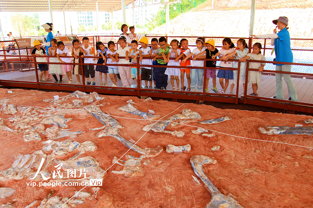 重庆:恐龙遗址公园迎来参观潮【3】