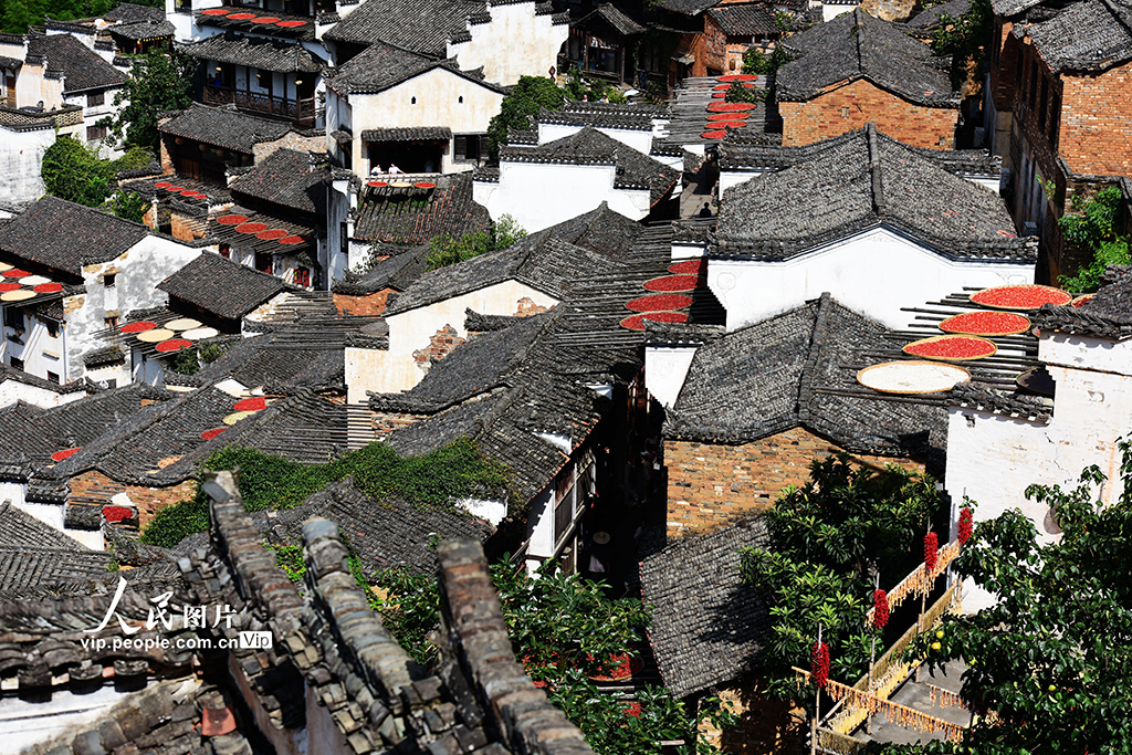 江西婺源:篁岭“晒秋”【2】