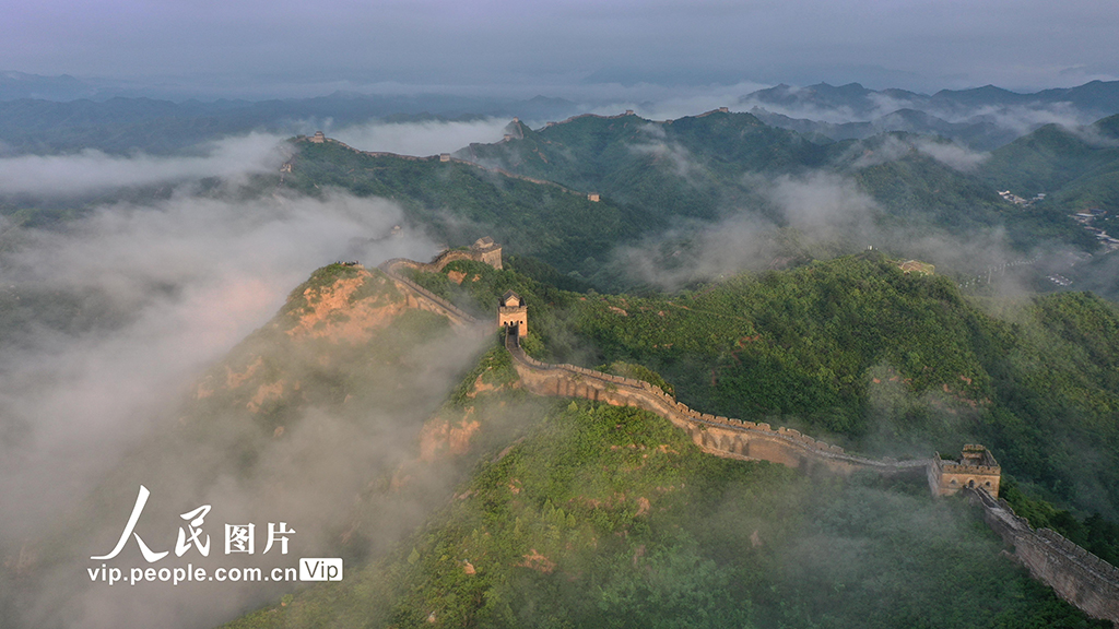 河北灤平：金山嶺長城現雲海景觀【3】