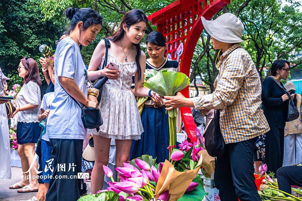 江苏苏州：荷花市集人气旺【6】