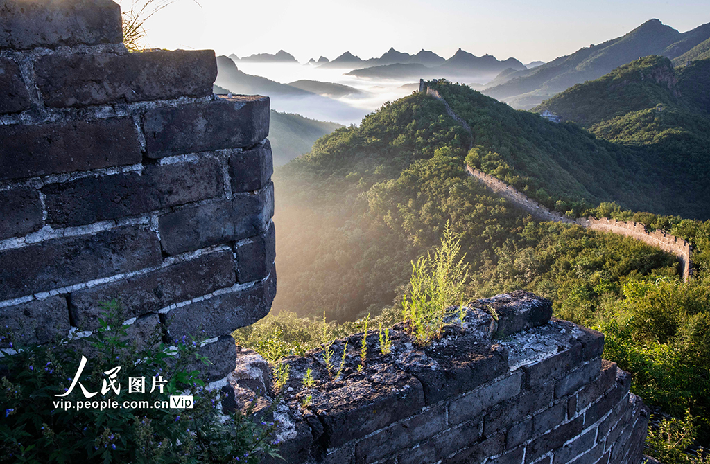 河北秦皇岛：长城云海 美景如画
