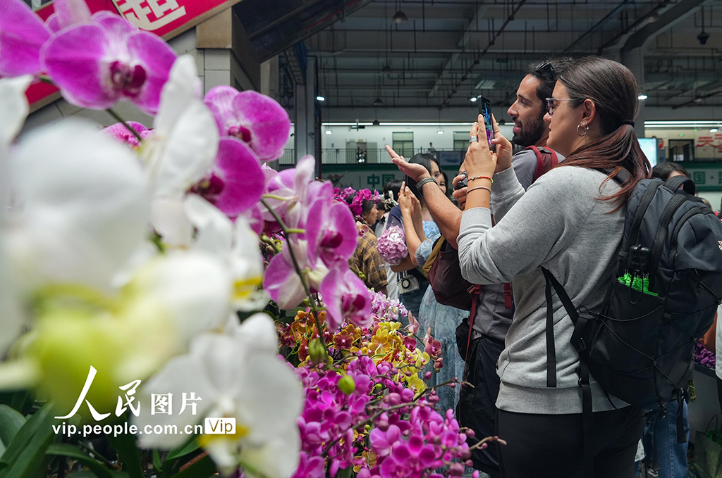 云南昆明：斗南花市鲜花俏销【2】