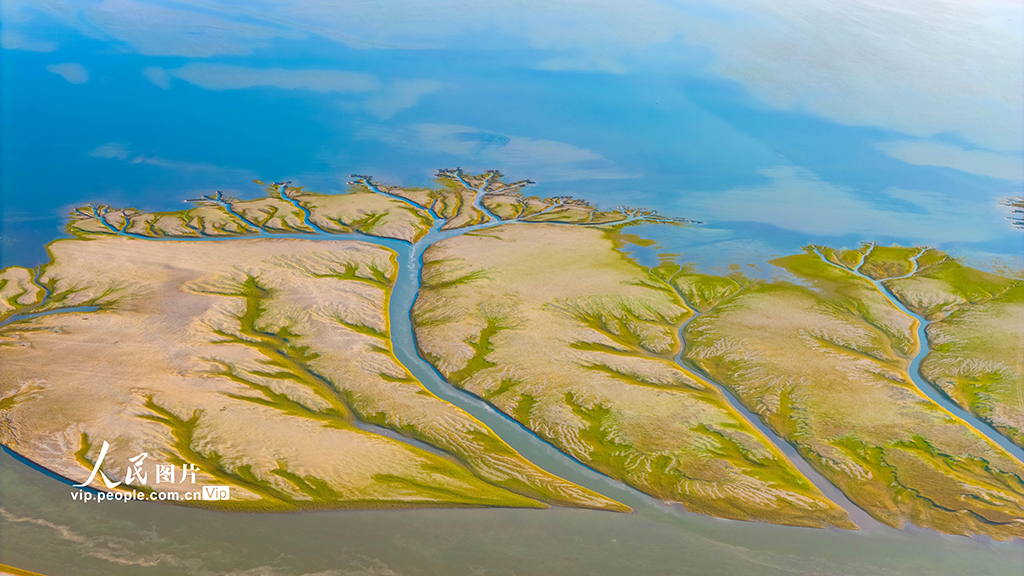 江西都昌：鄱陽湖現“大地之樹”景觀【2】
