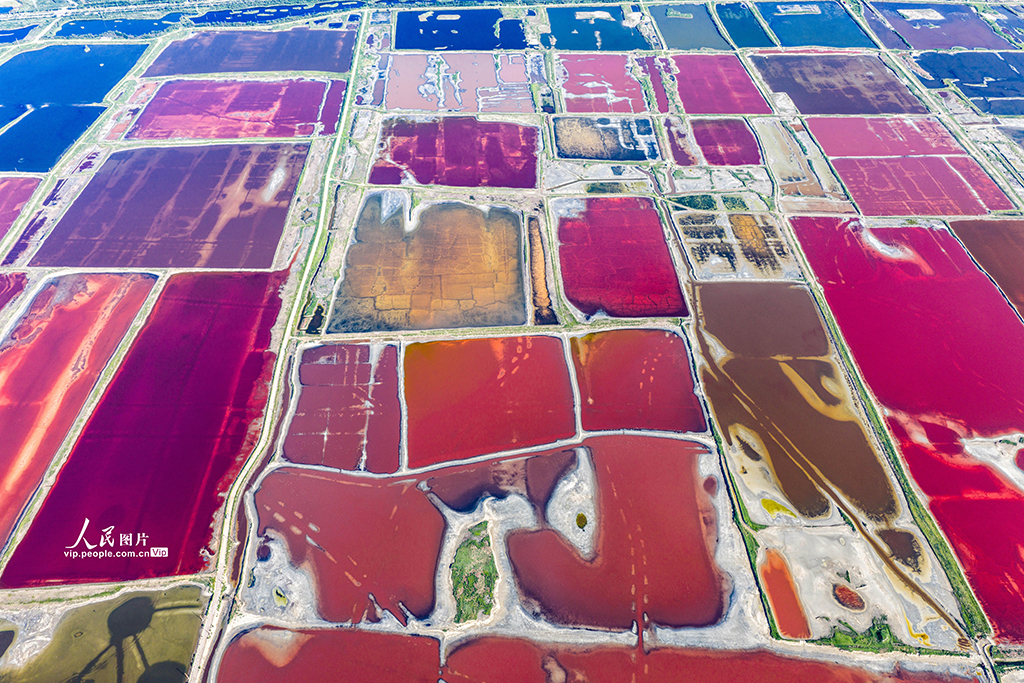 山西运城：盐湖绚丽多彩【4】