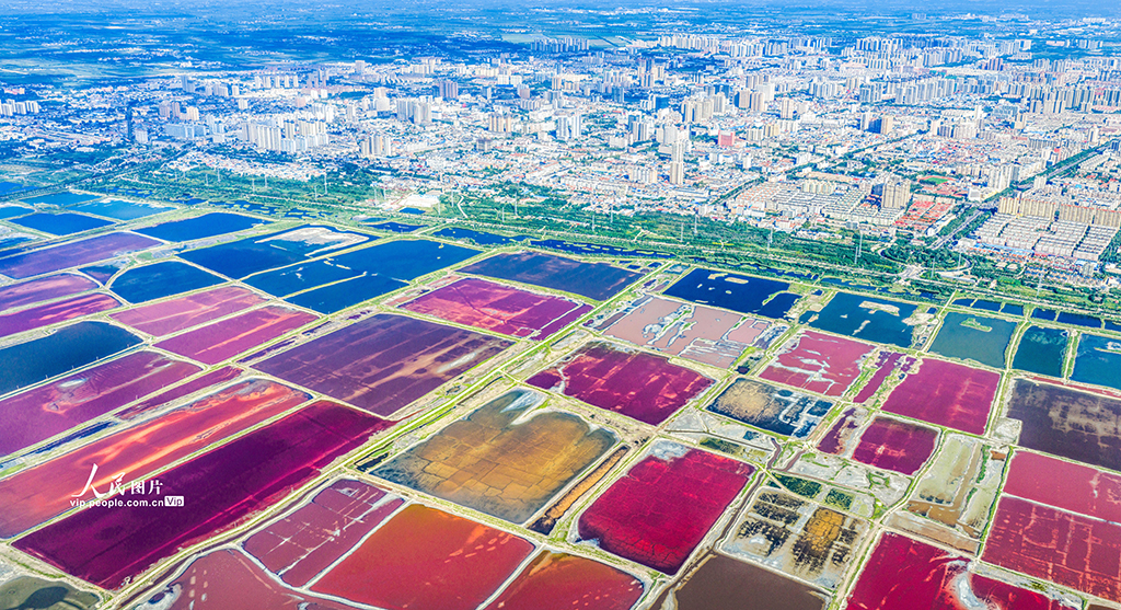 山西運城：鹽湖絢麗多彩【5】