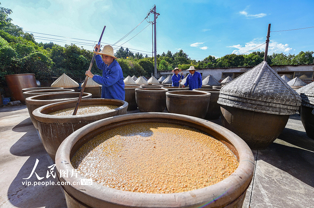 浙江金华：酱油酿晒忙【5】