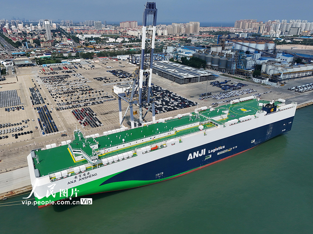 山东烟台:全球最大9500车位汽车运输船抵港装车【7】