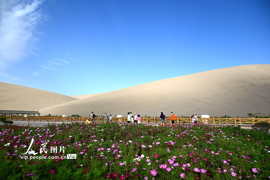 甘肃敦煌：秋游大漠【3】