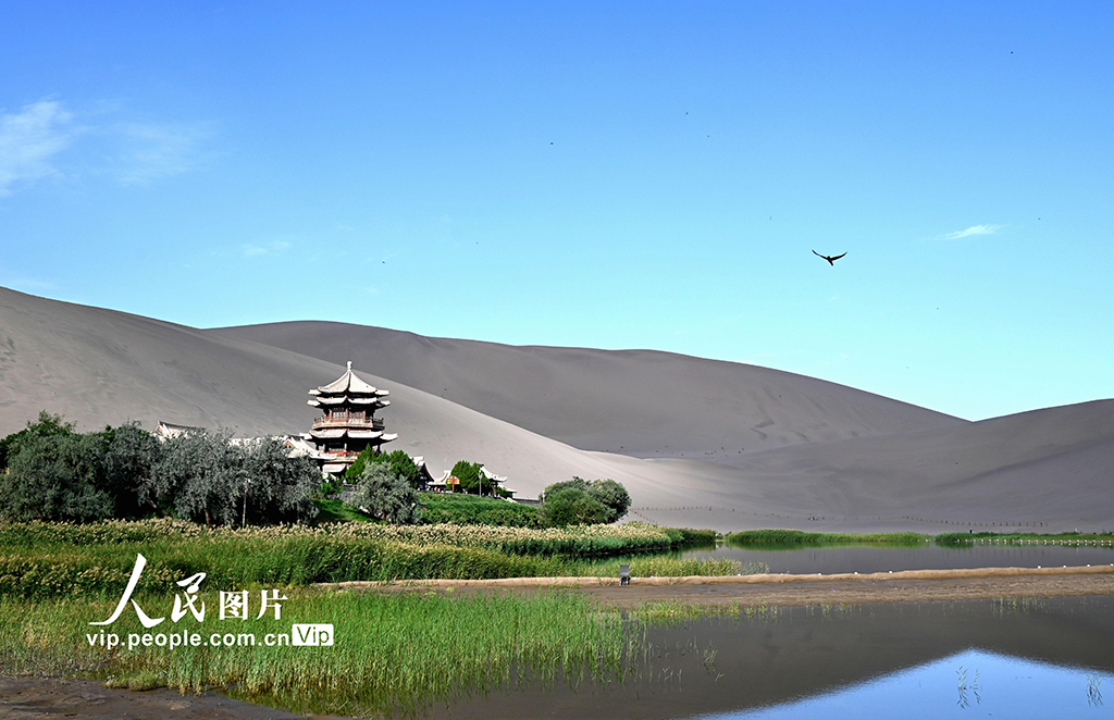 甘肃敦煌：秋游大漠【6】