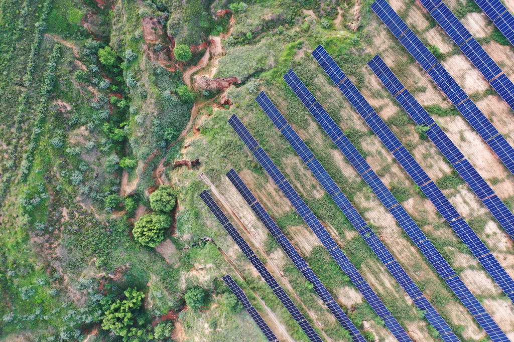 这是7月30日拍摄的天骄绿能50万千瓦采煤沉陷区生态治理光伏发电示范项目区（无人机照片）。