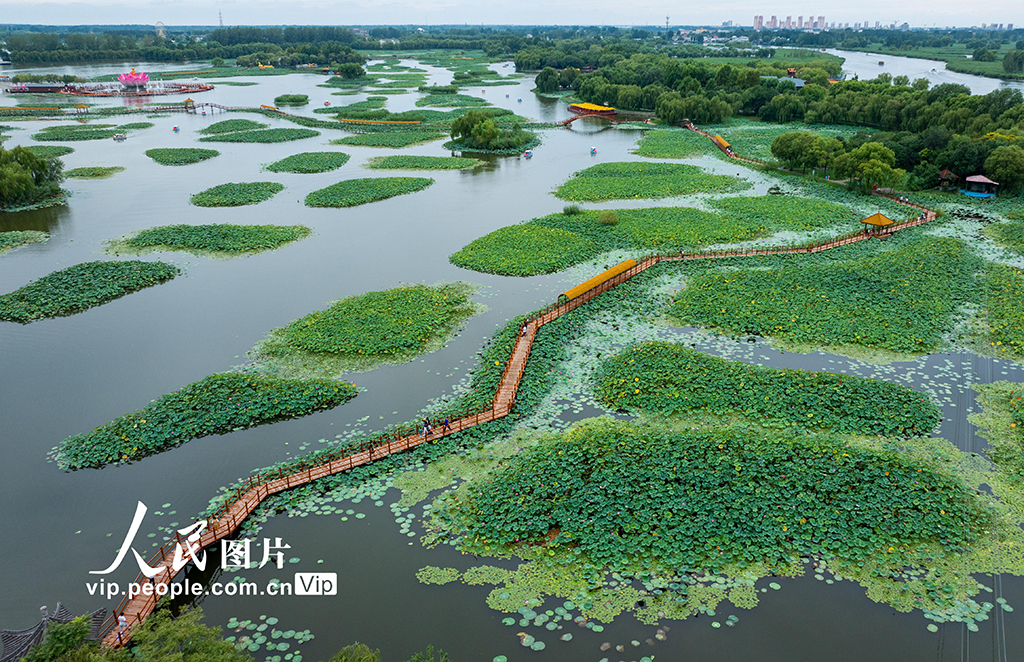 樂游白洋澱【4】