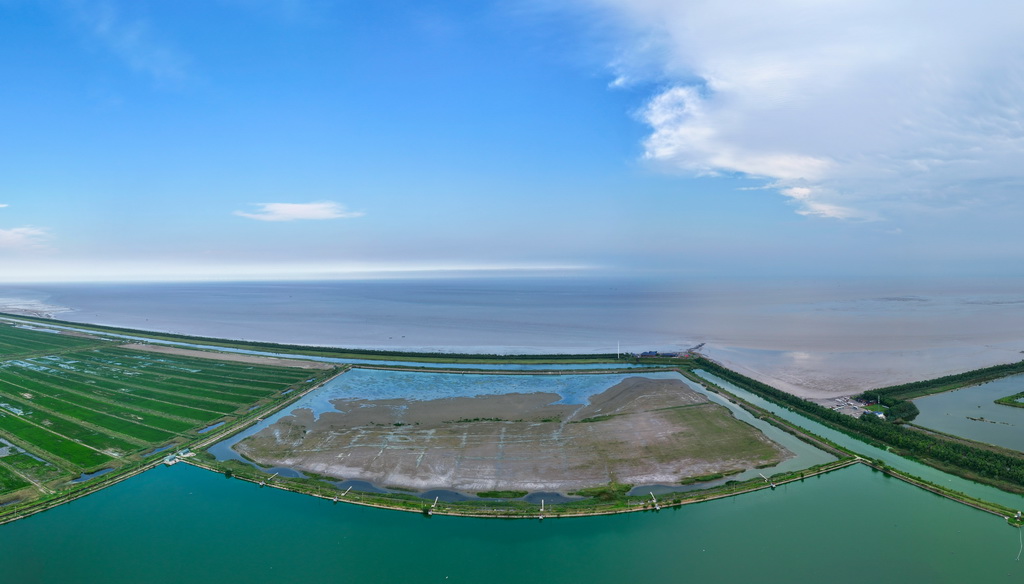 8月25日拍摄的东台条子泥湿地“720”高潮位栖息地（无人机照片）。