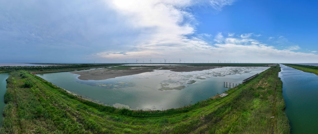 8月25日拍攝的東台條子泥濕地“720”高潮位棲息地（無人機照片）。