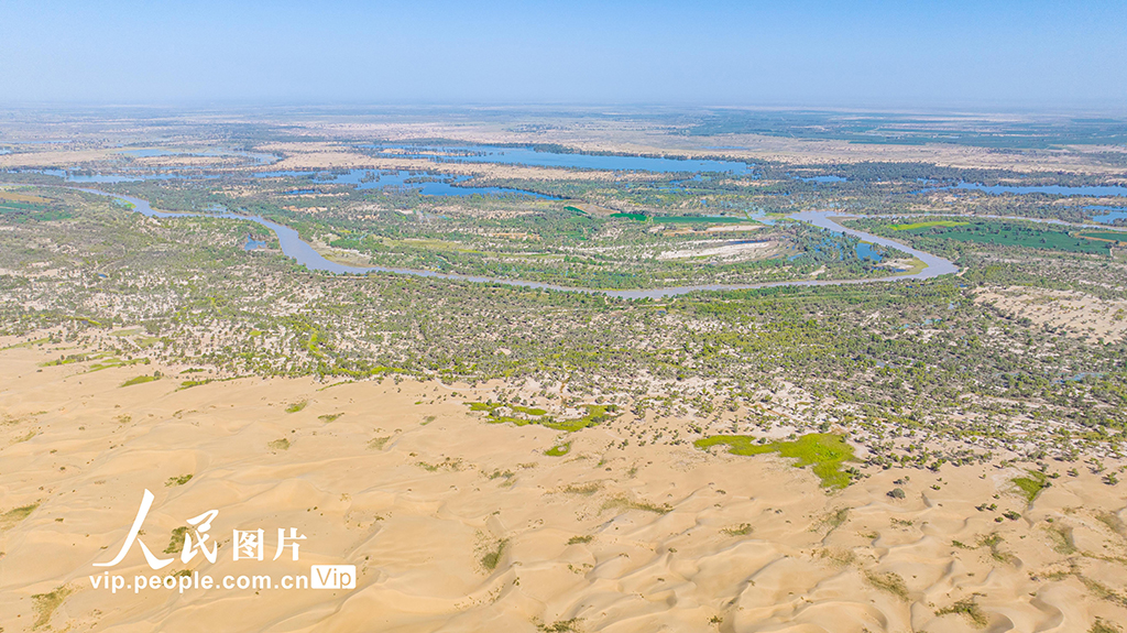 新疆尉犁：水豐林茂 生態環境持續向好【3】