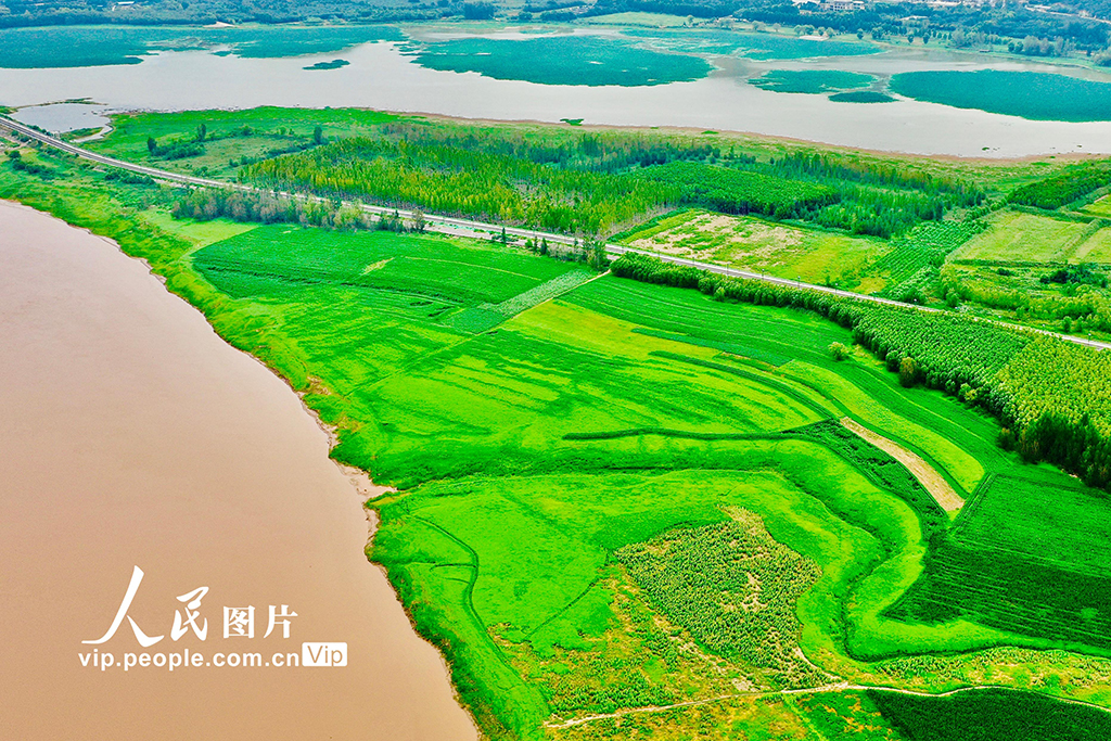山西平陸：黃河岸畔景美如畫【4】