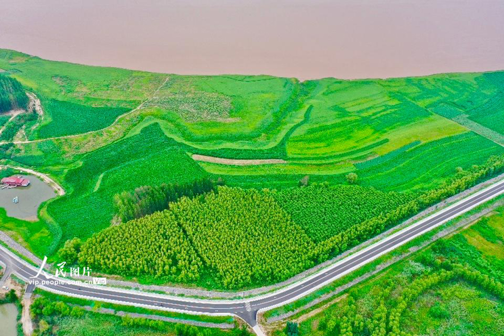 山西平陸：黃河岸畔景美如畫【5】