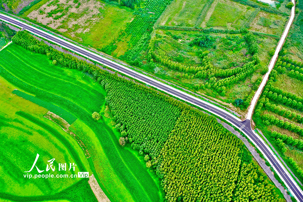 山西平陸:黃河岸畔景美如畫【6】