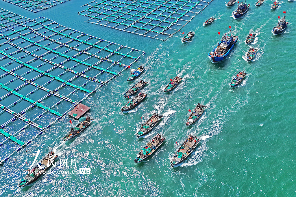 千船競發耕藍海【4】