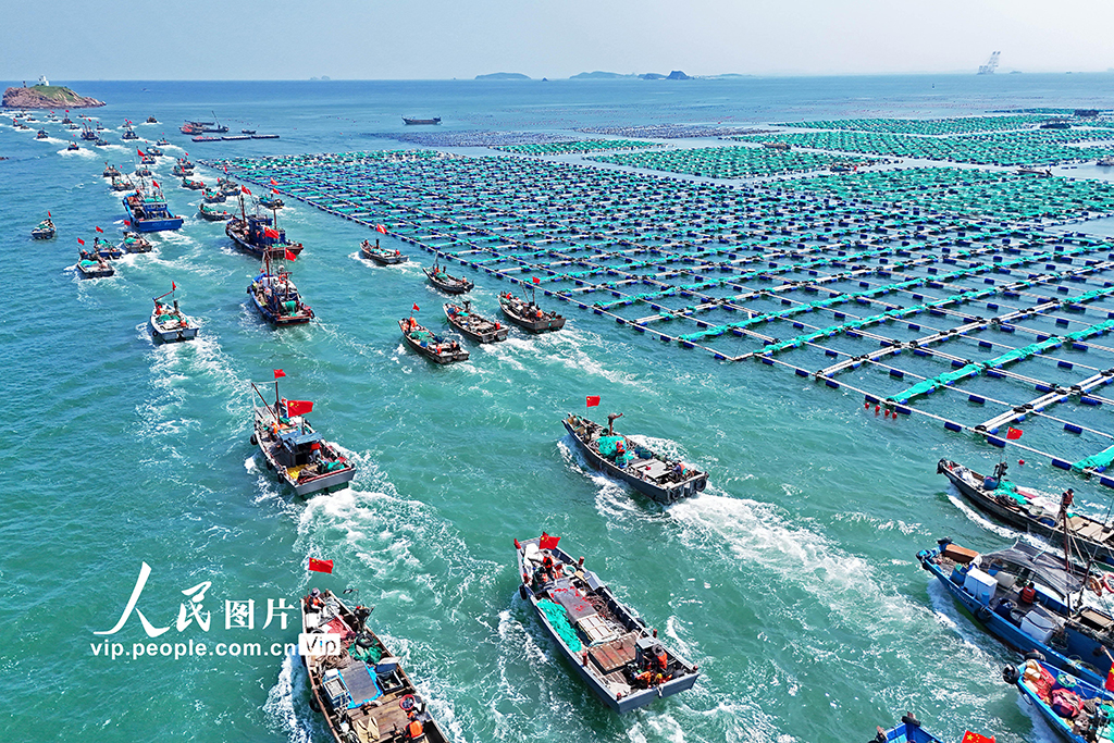 千船竞发耕蓝海【5】