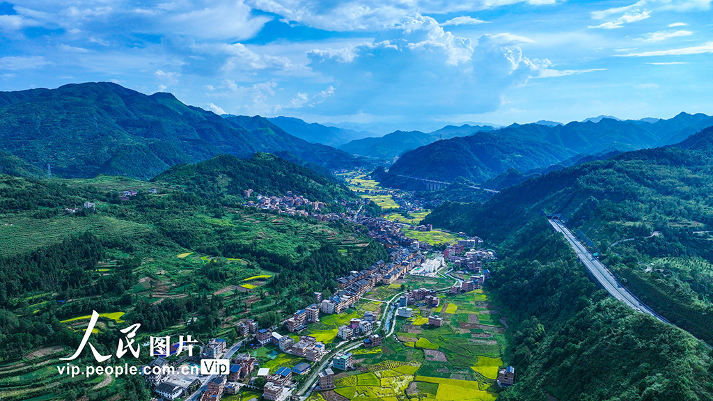 貴州三穗：鄉村好“豐”景【3】