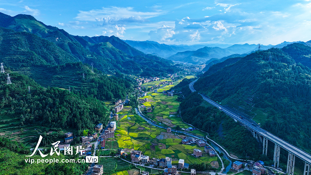 貴州三穗：鄉村好“豐”景【4】