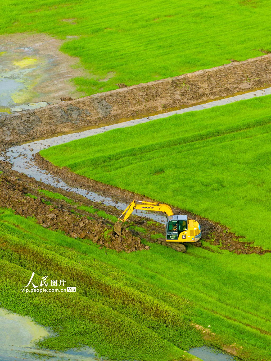 安徽芜湖：兴修水利助力粮田提质增效【3】