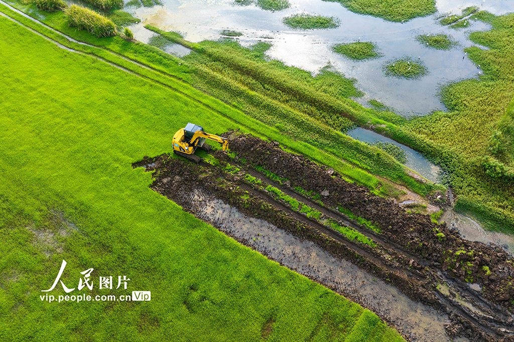 安徽芜湖：兴修水利助力粮田提质增效【4】
