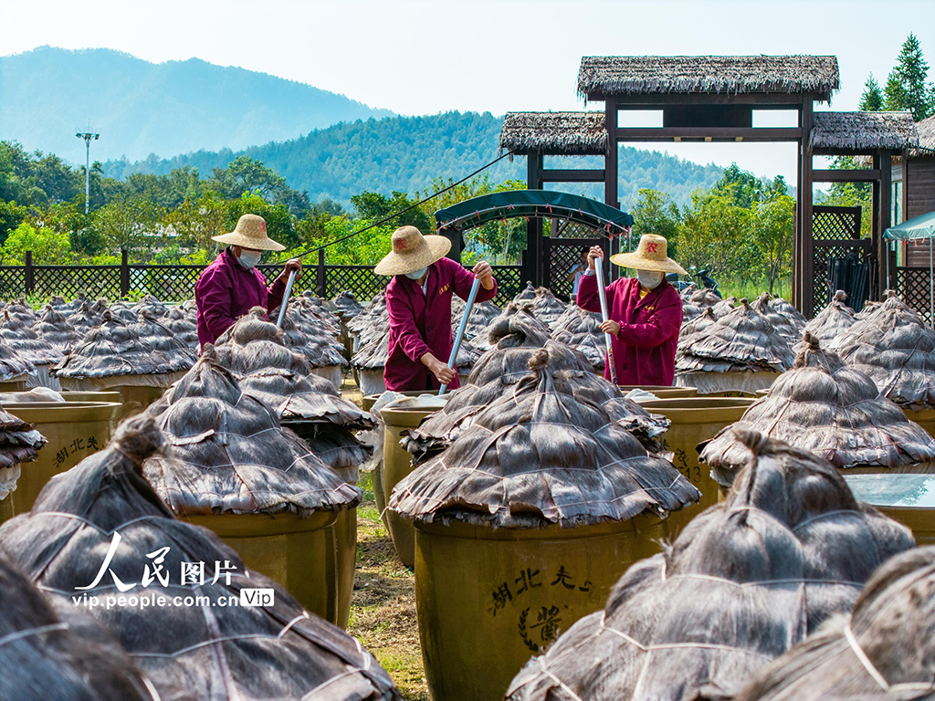 湖北英山：小酱菜 大产业