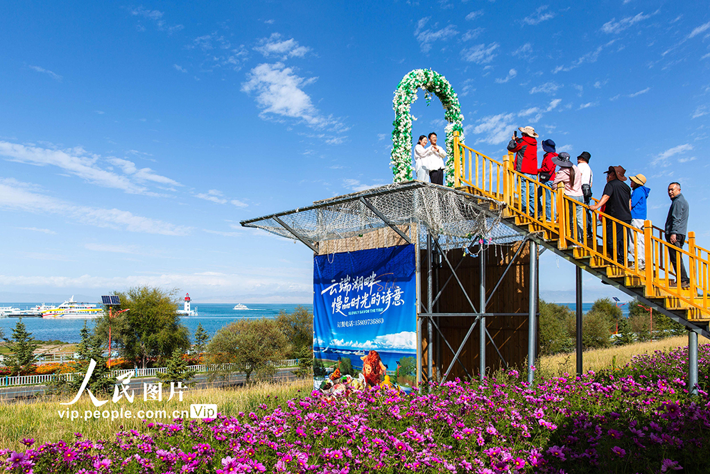 青海湖美景引客来【7】