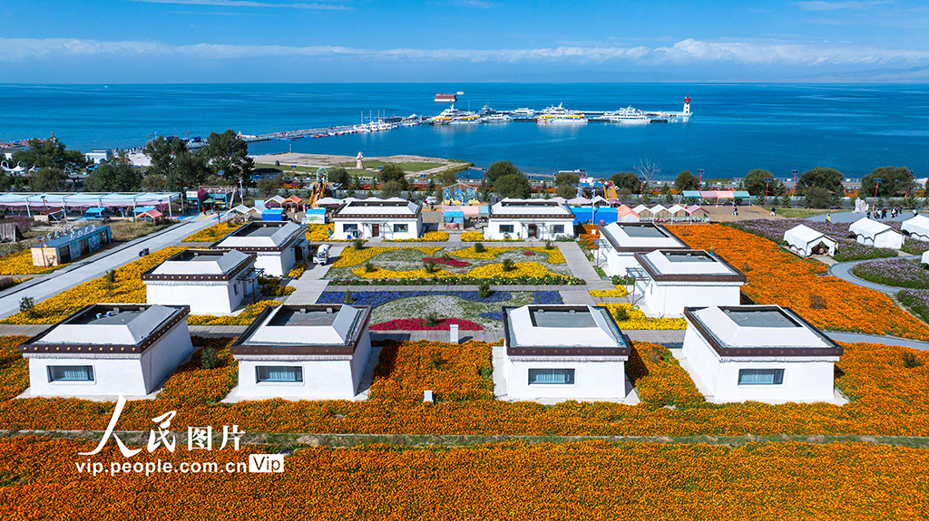 青海湖美景引客来【4】