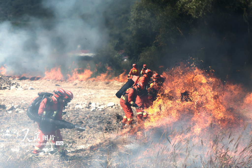9月11日，黑龙江省森林消防总队哈尔滨市支队在进行分队灭火战斗训练。