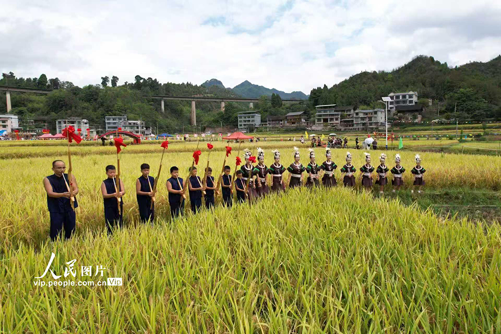 贵州凯里：趣味农事竞赛乐翻天【2】