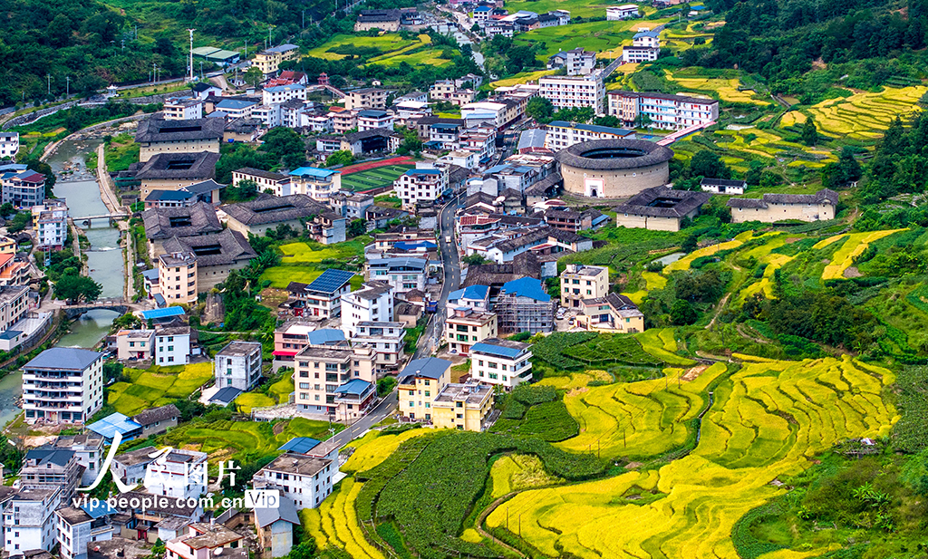 福建龙岩:永定土楼景美如画【4】