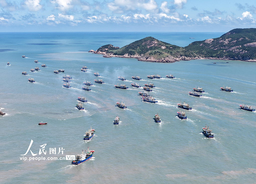 浙江台州:东海告别伏休全面开捕【2】