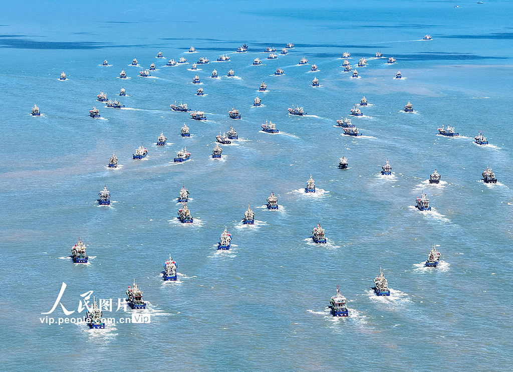 浙江台州：东海告别伏休全面开捕【5】