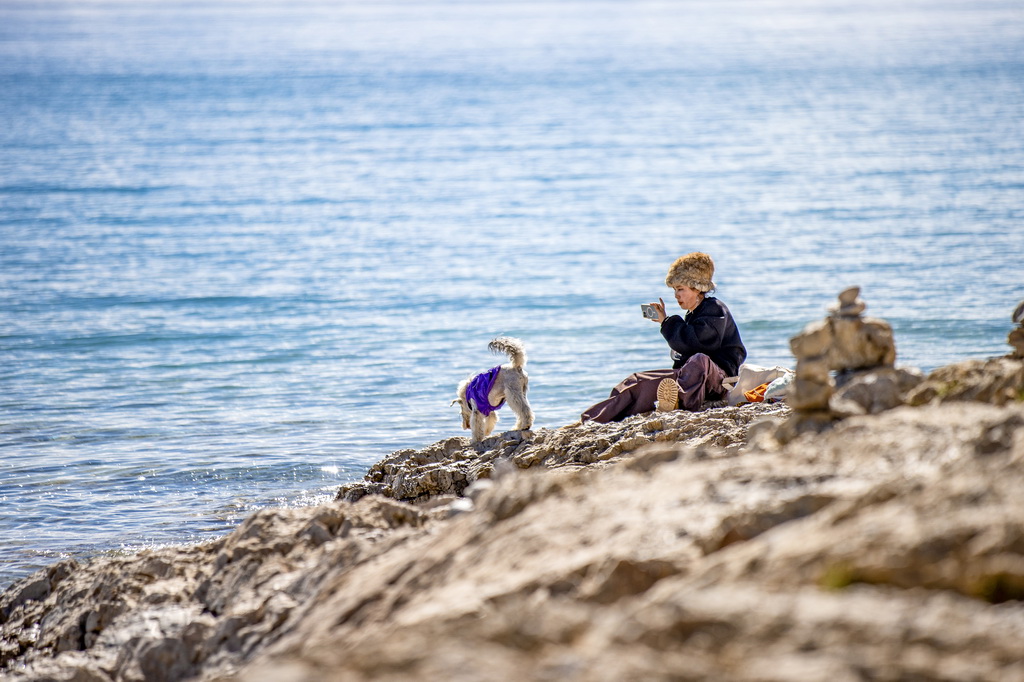 游客帶著寵物狗在納木錯湖邊拍照（9月16日攝）。