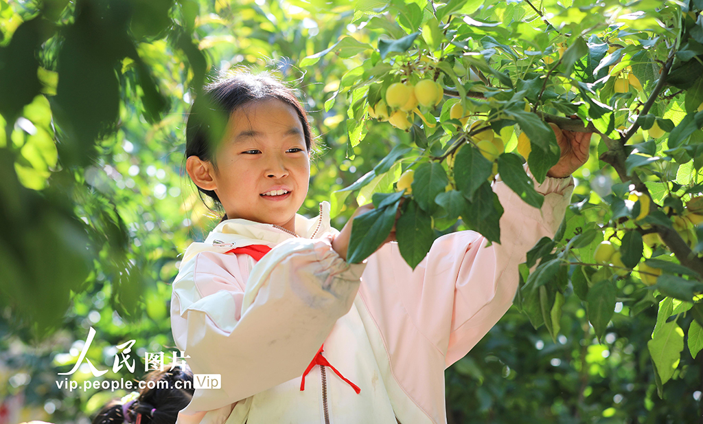 甘肃民乐:校园“丰收节”【3】
