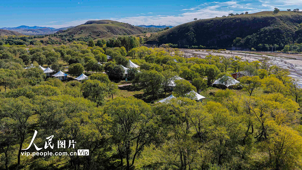 河北丰宁:坝上秋日如画【3】