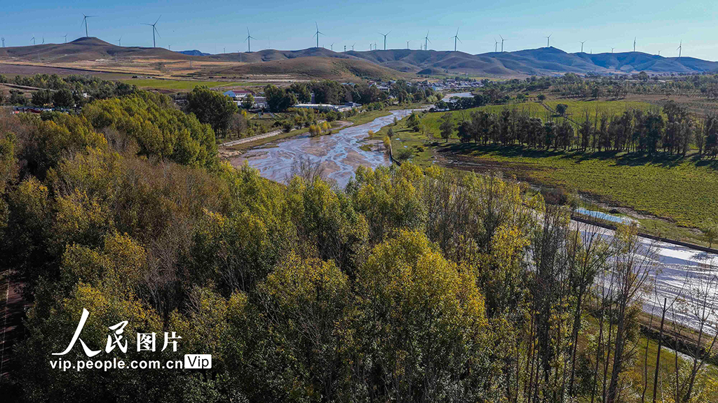 河北丰宁：坝上秋日如画【2】