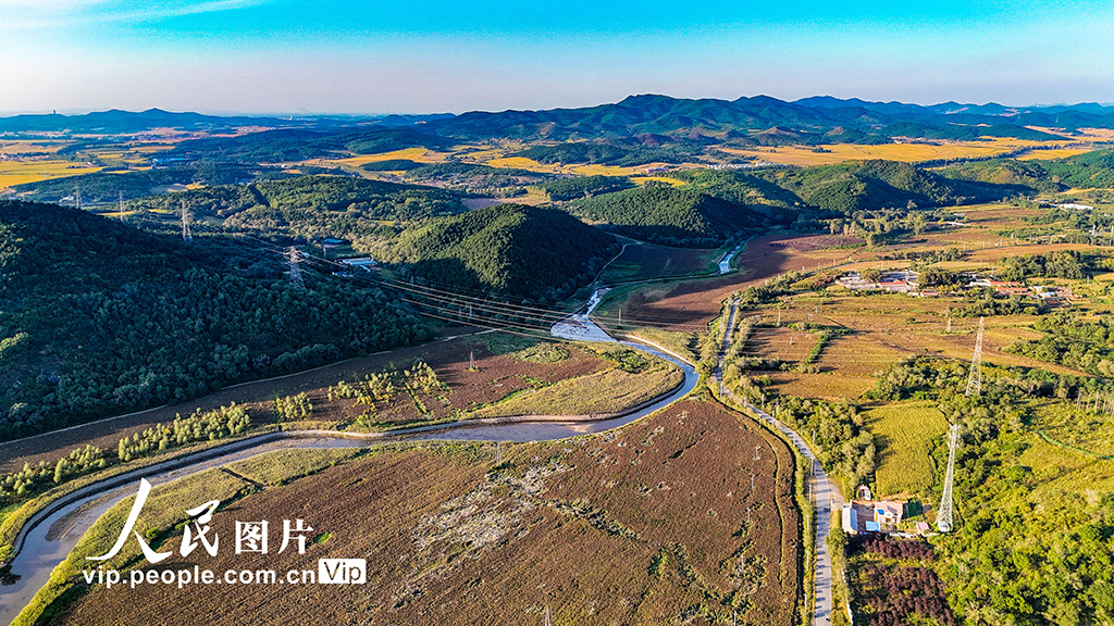 辽宁沈阳:高粱丰收在望【3】