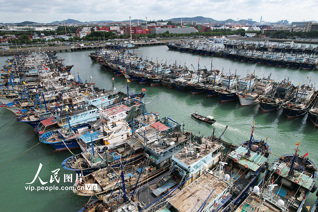 福建廈門：漁船進港人員上岸 應對台風“樺加沙”【5】