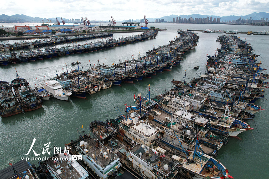 福建厦门:渔船进港人员上岸 应对台风“桦加沙”【7】