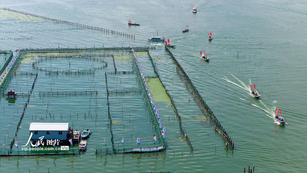 阳澄湖大闸蟹开捕【4】