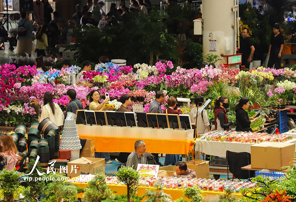 云南昆明：假期花市人气旺【7】