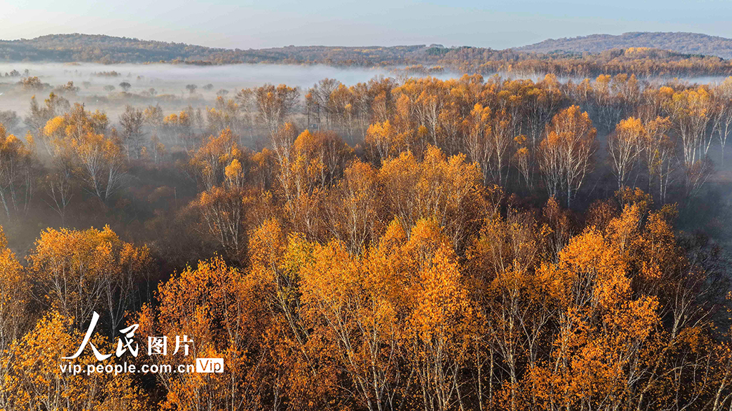 河北围场：坝上草原秋景如画【3】
