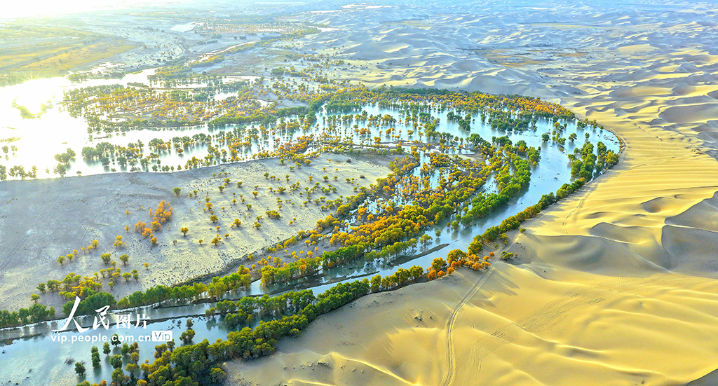 新疆尉犁：秋色如画【2】