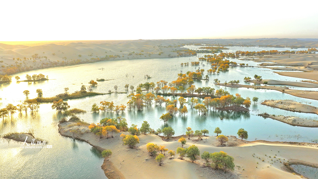 新疆尉犁：秋色如画【4】