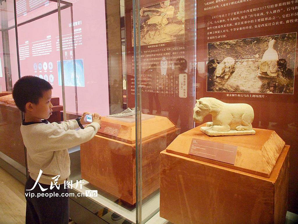 北京：博物馆里度假期【8】