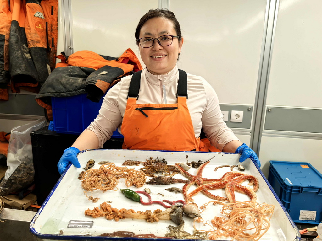 科考队员黄雅琴展示北冰洋底栖生物样品（2025年7月31日摄）。新华社记者 刘诗平 摄